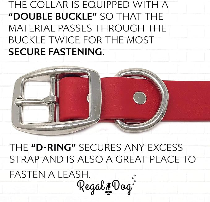 Regal Dog Products Medium Red Waterproof Dog Collar and Leash Set | Heavy Duty Double Buckle & D Ring - 5'ft Leash | Adjustable Biothane Dog Collar | Chew Resistant Waterproof Collar for Dogs