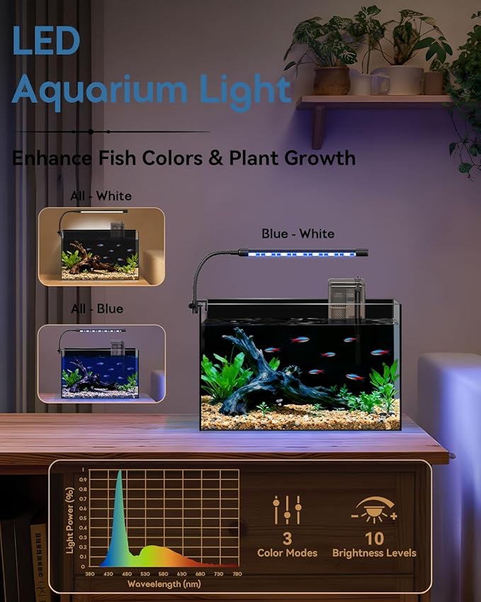 5 Gallon Glass Aquarium Starter Kit, Rimless Fish Tank | Complete Aquarium Kit with Adjustable LED Light, Filter, Lid & Mat for Betta Shrimp & Plants, Easy Setup and Maintenance