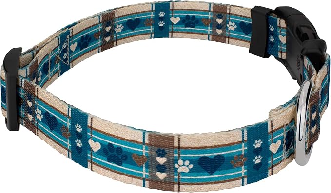 Country Brook Petz - Puppy Picnic Everyday Dog Collar and Leash - Plaid and Argyle Collection Featuring Charming Designs (1/2 Inch, 2XS)
