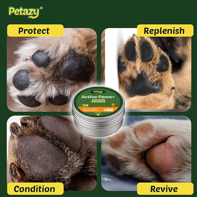 Petazy Dog Paw Balm – Active Paws Formula for Rough Terrain, Hiking & Outdoor Dogs | Lick-Safe, Natural Protection with Beeswax, Shea Butter & Coconut Oil | Paw & Nose Balm for Dogs & Cats, 2.1 oz
