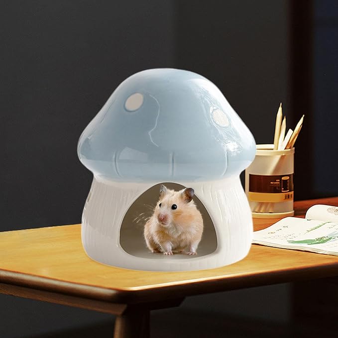 Ceramic Hamster House Guinea Pig Hideout Outdoor Creative Sturdy Habitat Hideaway House for Rats Chipmunk Squirrels, Blue