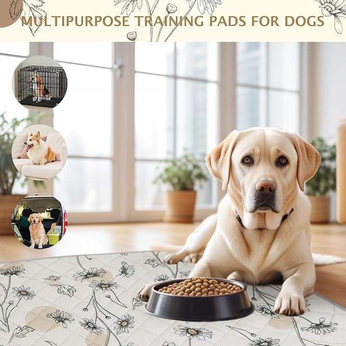 IEUUMLER Washable Pee Pads for Dogs, 2 Pack Non-Slip & Waterproof Pack Whelping Pad, Reusable Washable Puppy Potty Training Pad with Fast Absorbent for Playpen EU007 (Beige Daisy, 36"X48"-2pcs)
