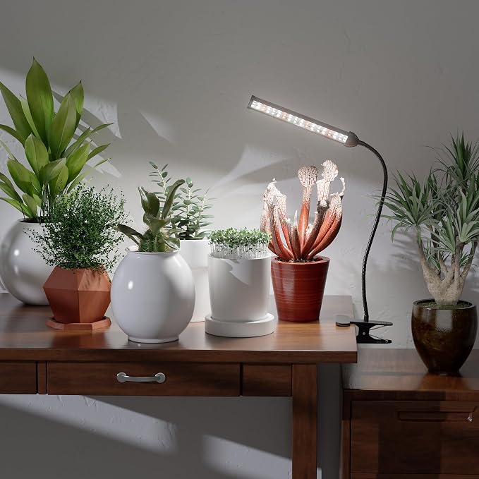 Grow Light for Indoor Plants Growing, 6000K Full Spectrum | Desk Lamp with Red Blue LED for Plants Growth, Strong Clamp with Gooseneck , Dimmable with Auto Timer