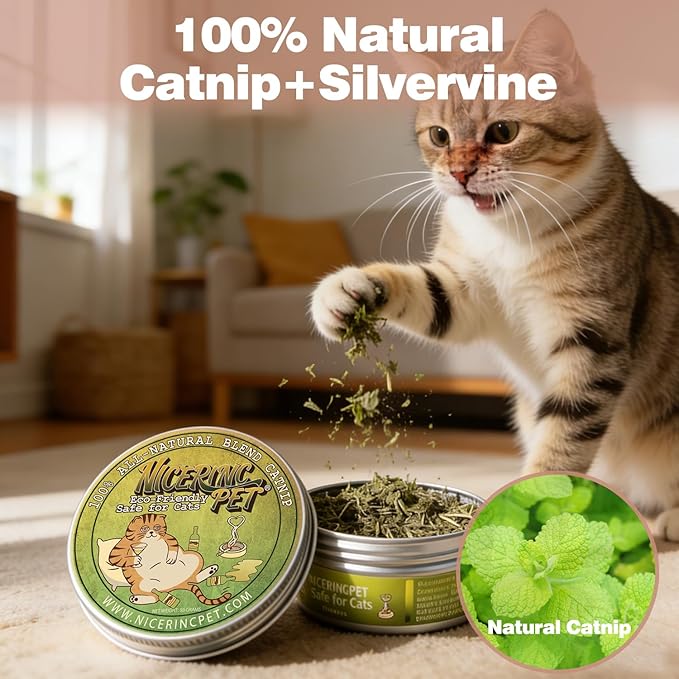 Organic Fresh Dried Catnip for Cats,100% Natural,Safe & Non-Addictive Catnip,Refillable Catnip Toys for Cats & Kittens, 50 Grams（1.8 OZ）