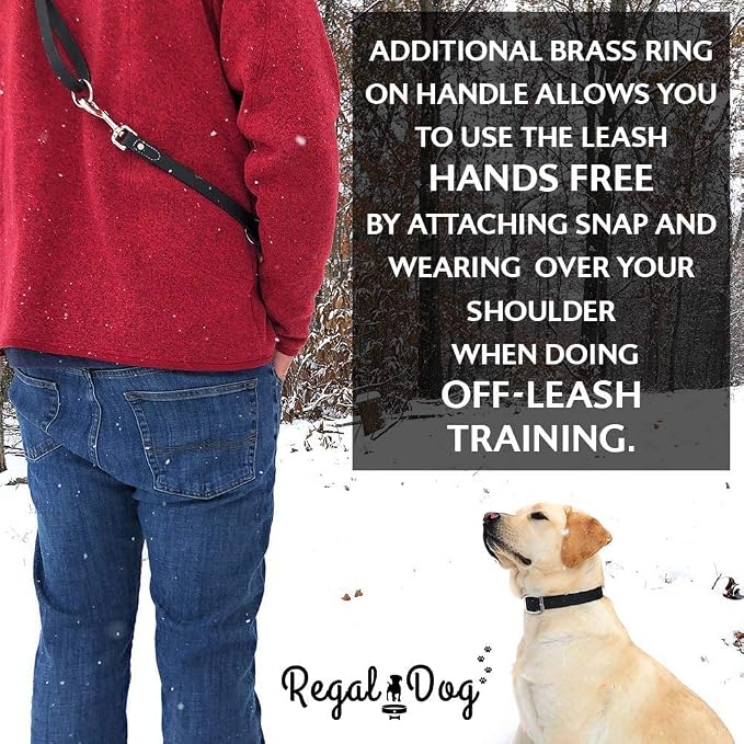 Regal Dog Products Medium Blue Waterproof Dog Collar and Leash Set | Heavy Duty Double Buckle & D Ring - 5'ft Leash | Adjustable Biothane Dog Collar | Chew Resistant Waterproof Collar for Dogs