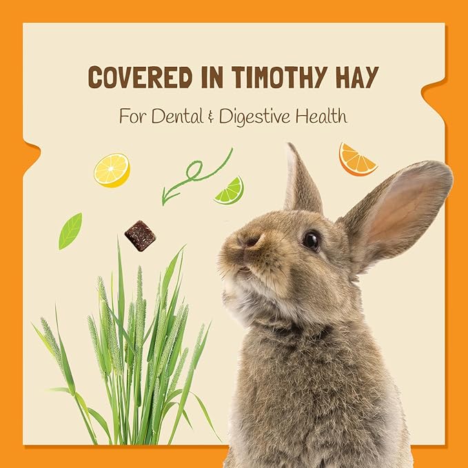 DOC EDDIE'S Vitamin C Bites Soft & Chewy Treats for Hamster, Rabbit, Chinchilla, Bunny, Gerbil, Mouse, Rat, Hedgehog, Squirrel, & Guinea Pig Friendly - Made w/Real Fruit & Organic, New & Tastier