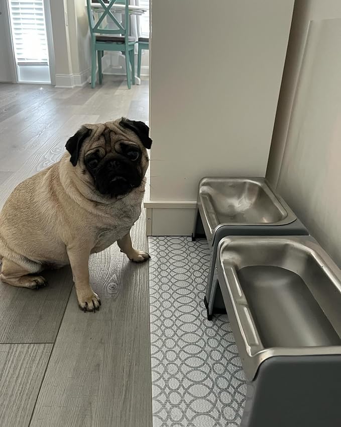 Fluff Trough 7.25 Inch Tall Elevated Dog Bowls Stainless Steel Raised Dog Bowl with Stand Holds 2 Cups Pet Food Vet Recommended, Dishwasher Safe Feeder Station