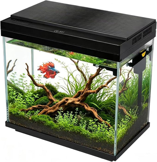 FS&AQ 3 Gallon Fish Tank with Filter and Light No-Install Small Aquarium Starter Kit