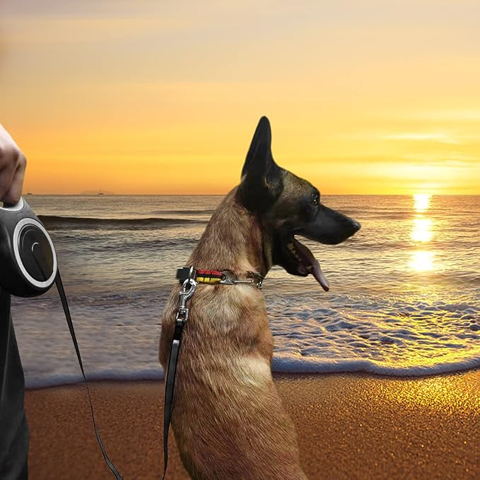 26Ft Retractable Dog Leash, Heavy Duty Great Leash for Dog up to 110 lbs, Anti-Slip Rubberized Handle, One-Handed Brake, Strong Nylon Tape, Tangle Free(Large Size).