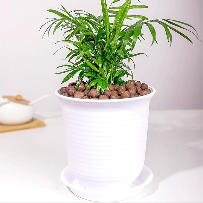 FANTIAN Clay Pebbles for Plants, 5 lbs Aquatic Plant Soil, 8-12 mm | Leca Clay Balls for Plants, Orchid Potting Mix, Soil Drainage, Used in Hydroponic Growing, Help with Root Development