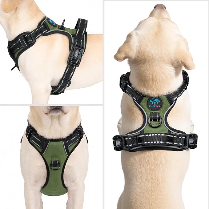 PHOEPET No Pull Dog Harness with Handle Reflective Padded Vest for Small Medium Large Dogs, Adjustable Puppy Harnesses with Front & Back Clip Easy Walking (S, Misty Green)