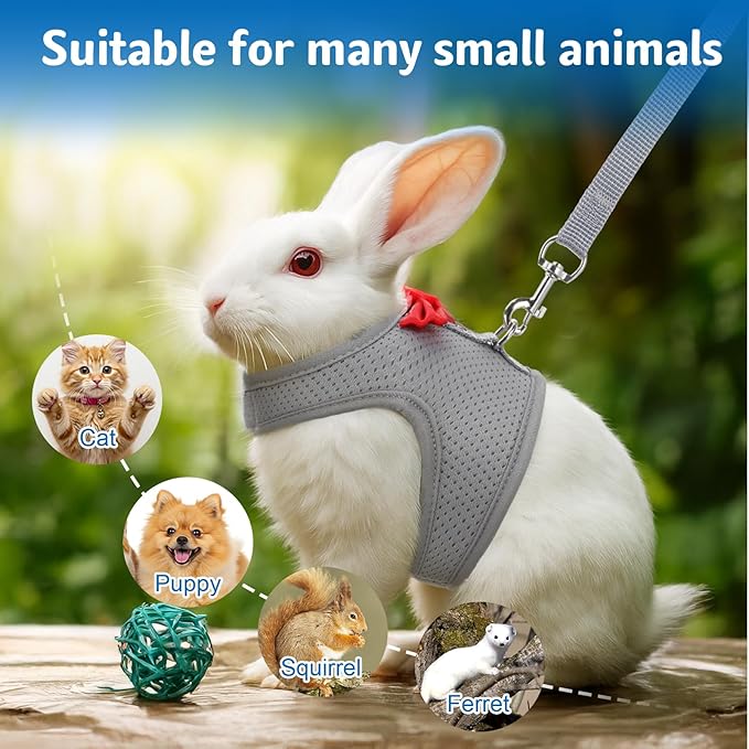Rabbit Harness and Leash Set,Bunny Leash for Walking Escape Proof,Bunny Clothes with Cute Bow Mesh Breathable Adjustable Vest Rabbit Harness Camping Hiking Training for Ferret Kitten Puppy (Grey M)