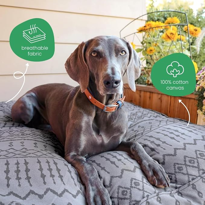 Molly Mutt Wild World Dog Bed Duvet Cover, 100% Cotton Canvas Cover for Dog, Puppy, or Cat Bed, Durable, Washable, and Free of Harmful Chemicals, Small, 22"x27"x5"
