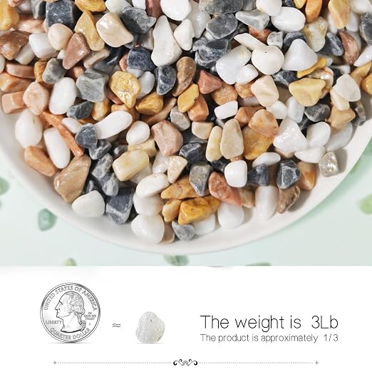 3Lb Pebbles for Succulents,River Rocks for Succulent Plants | Decorative Stones Bonsai Garden Pebbles,Succulent Rocks,Small Aquarium Rocks for Landscaping ,Plants,Vase Fillers