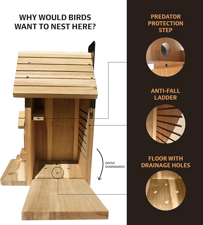 Premium Wooden Bird House Kit – DIY Bluebird Nesting Box with 1.5 Inch Entrance, Outdoor Birdhouse Kits for Adults and Kids, Nature Craft for Garden, Backyard or Patio Projects
