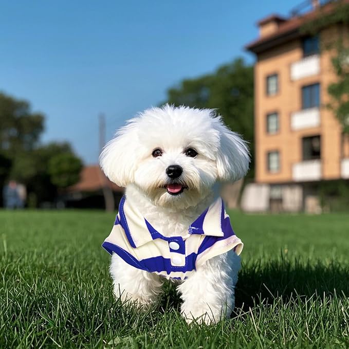 Dog Shirt Polo Shirt Striped Collar Puppy Clothes Summer Button Up Pet Clothes for Small Medium Dogs Cats for Boy Girl Pets (Royal Blue, Small)