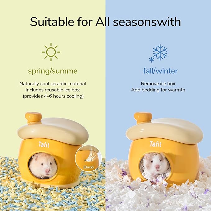 Ceramic Igloo Hamster Hideout - Green Small Animal Habitat Decor Hut for Syrian & Dwarf Hamsters, Gerbils, Mice, Rats - Four Seasons Home House
