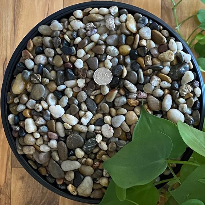 Mixed Color Polished Rocks for Plants, Decorative Pebbles, 3/8 Inch, 10 lb