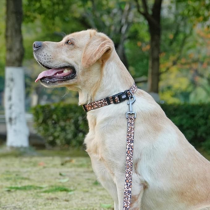 Dog Collar Leash Set, Leopard Pattern, Polyester Material, Adjustable Collar and 5ft Matching Leash, for Medium Dogs.(M, Brown Leopard)