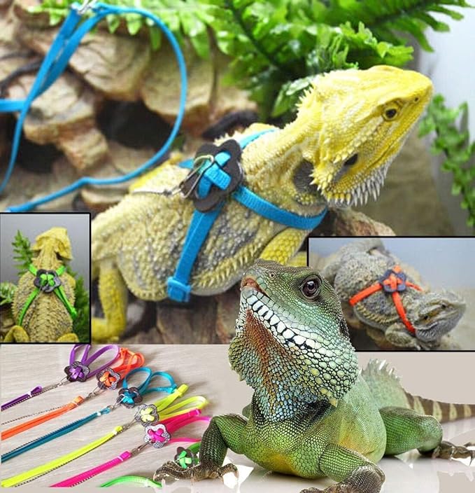 Adjustable Harness Leash for Birds 2Pack Nylon Anti-bite Outdoor Training Walking Control Rope for Parrot African Grey Cockatoo Macaw Ringneck Parakeet Cockatiel Reptile Lizard (Blue+Purple)