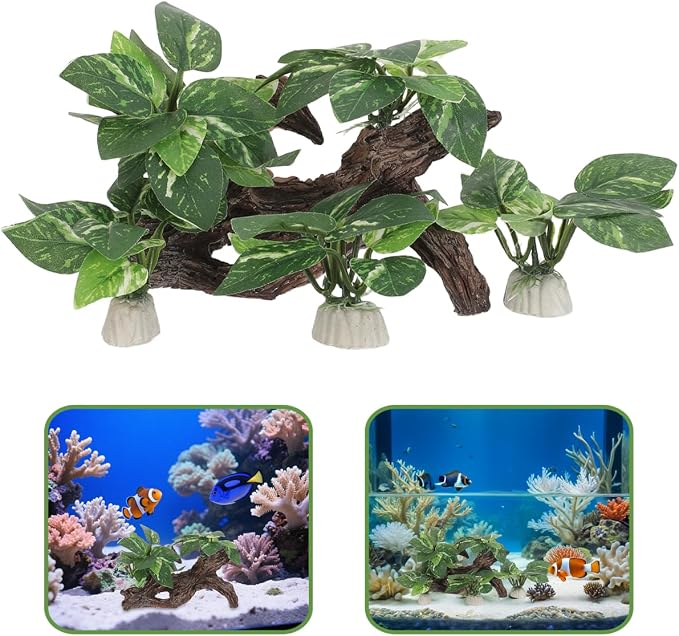 DECHOUS 4Pcs Aquarium Driftwood Decorations - Natural-Looking Driftwood Hideout Cave for Betta Fish and Shrimp Freshwater Fish Tank Decor for Aquascaping Durable Water-Resistant Aquarium Ornaments