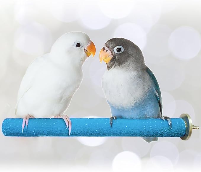 SunGrow Wooden Bird Perch, 8 inches, Quartz Sand Covered, Blue Perch for Lovebirds, Budgies, Finches & Small Birds