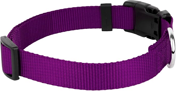 Country Brook Petz - Everyday Nylon Dog Collar and Leash - 10+ Cool Colors (3/8 Inch, 3XS, Purple)