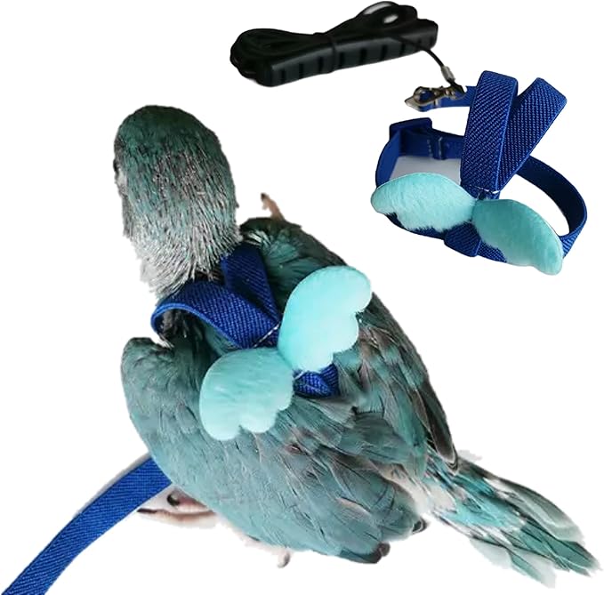Pet Parrot Bird Harness Leash Adjustable Bird Flying Harness Traction Rope with Cute for Parrots Budgerigar Lovebird Cockatiel Mynah Outdoor Training Toy (Quaker/Sun Conure,Blue)