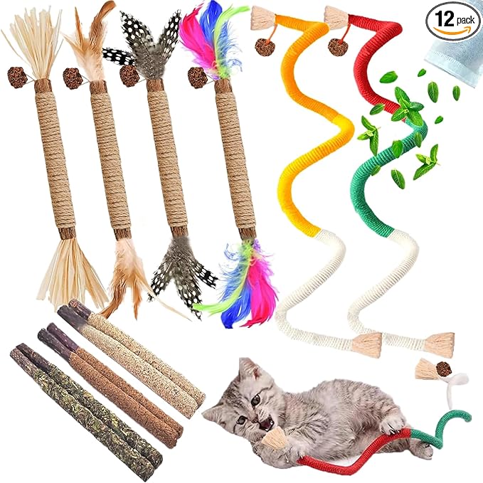 Cat Toys for Indoor Cats 12pcs Kitten Chew Self Play Kitty Dental Rope Interactive Catnip Toy Refillable Matatabi Treats for Cleaning Teeth Lickable Silvervine Feather Sticks