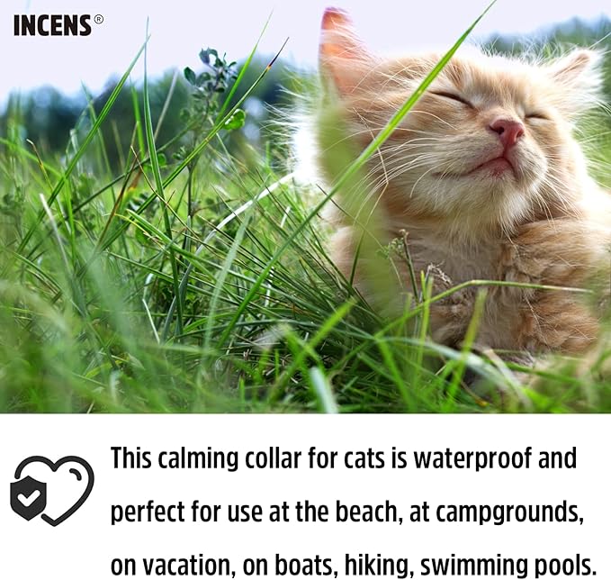 Calming Collar for Cats, Cat Calming Collar Anxiety Relief Adjustable,Essential Oil Collar with 45 Days for Kitten Medium Large Cats purple-1Pcs