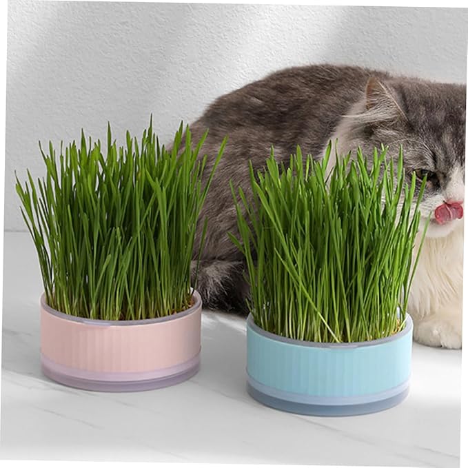 BESPORTBLE 2pcs Hydroponic Cat Grass Planter Soilless Household Planting Box with Design Convenient Growing Kit for Indoor Use Blue Pink