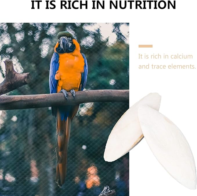Baluue 12pcs Bird Cuttlebone Chew Toy Cuttlefish Bones Parrot Cage Toys Bird Bite Toy for Aquarium Reptile Tortoise Turtle Cockatiel 10cm