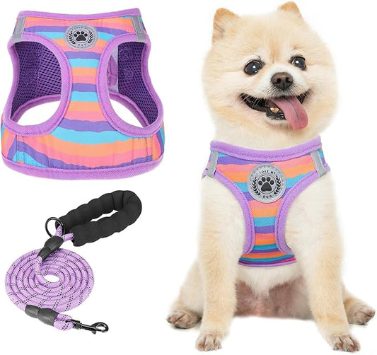 BEAUTYZOO Dog Harness and Leash Set for Small Dogs,No Pull Step-in Harness for Puppy XS S Sized Dogs and Cats,Air Mesh Adjustable Breathable Soft No Choke Escape Proof Vest Harness,Striped Purple XXS