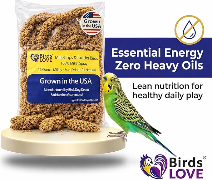Birds LOVE Millet Tips & Tails for Birds - Parakeets, Cockatiels, Lovebirds, Finches, Budgies, Canaries, Cockatoos - Natural & Healthy Millet for Birds - Parakeet Food & Treats for All Parrots, 1lb