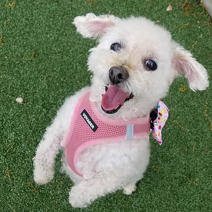 Best Pet Supplies Voyager Step-in Air All Weather Mesh Harness and Reflective Dog 5ft Leash Combo with Neoprene Handle, for Small, Medium and Large Breed Puppies - Pink, XX-Small