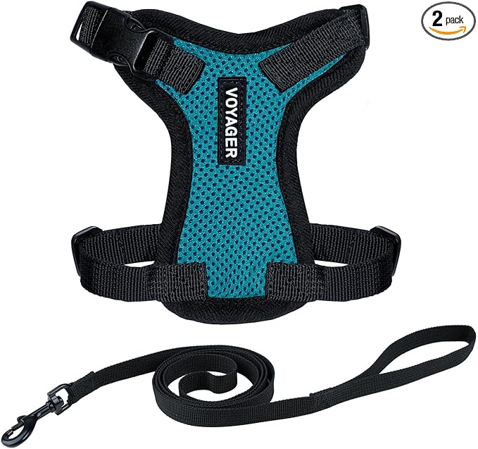Voyager Escape-Proof Step-in Lock Cat Harness & 5ft Neoprene-Handle Leash Set All-Weather Mesh with Reflective Stitching for Small to Large Cats by Best Pet Supplies, Turquoise/Black Trim, XS