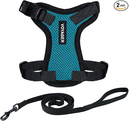 Voyager Escape-Proof Step-in Lock Cat Harness & 5ft Neoprene-Handle Leash Set All-Weather Mesh with Reflective Stitching for Small to Large Cats by Best Pet Supplies, Turquoise/Black Trim, XS