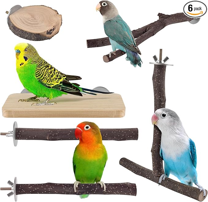 DBNESS Bird Perches, 6 Pcs Natural Wood Parrot Perch Stand Chew Toys, Hanging Multi-Branch Parrot Perch Platform Swing Toy Cage Accessories for Small Parakeets, Budgies, Lovebirds, Canaries, Finches