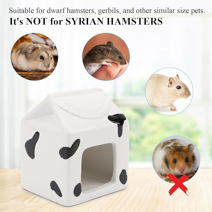 Hypeety Ceramic Hamster Hideout Habitat House for Small Animals Gerbil Dwarf Hamster Mice Cool House for All Season Cute Decor Hut (White)