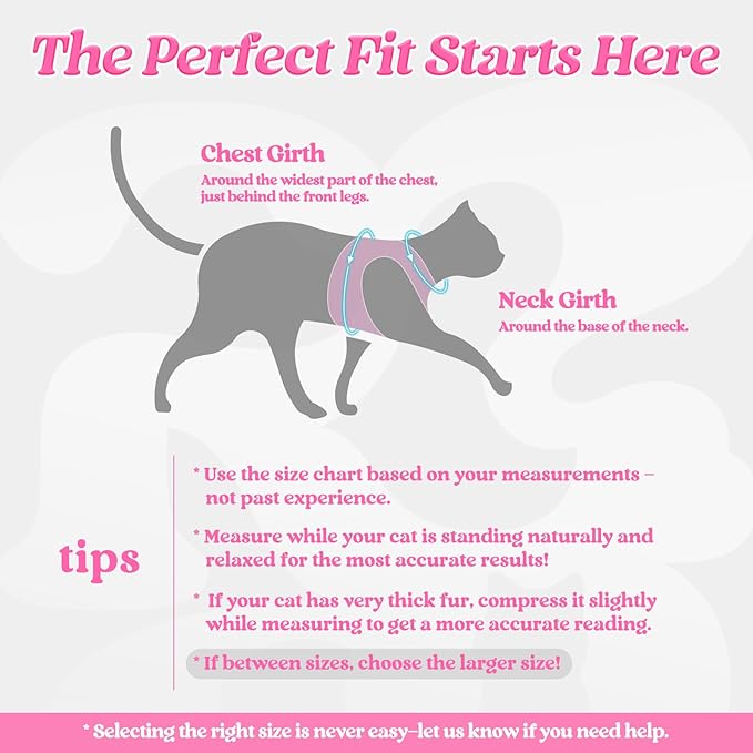 rabbitgoo Cat Harness and Leash Set for Walking Escape Proof, Adjustable Soft Kittens Vest with Reflective Strip for Cats, Comfortable Outdoor Vest, Black & Pink, S