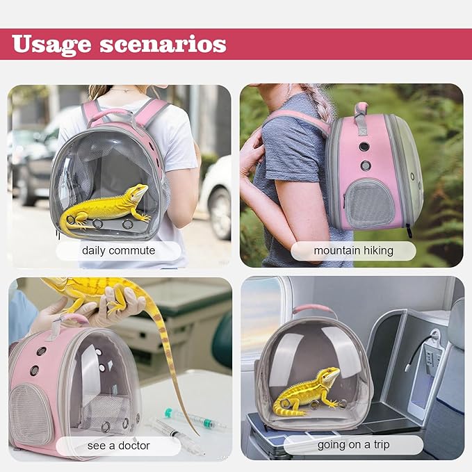 WEVONIGU Expandable Small Animal Backpack Carrier with Clear Bubble Window Large Space Travel Cage for Hedgehog Rat Parrot,Bearded Dragon,Sugar Glider,Airline Approved (Pink, BE Backpack)
