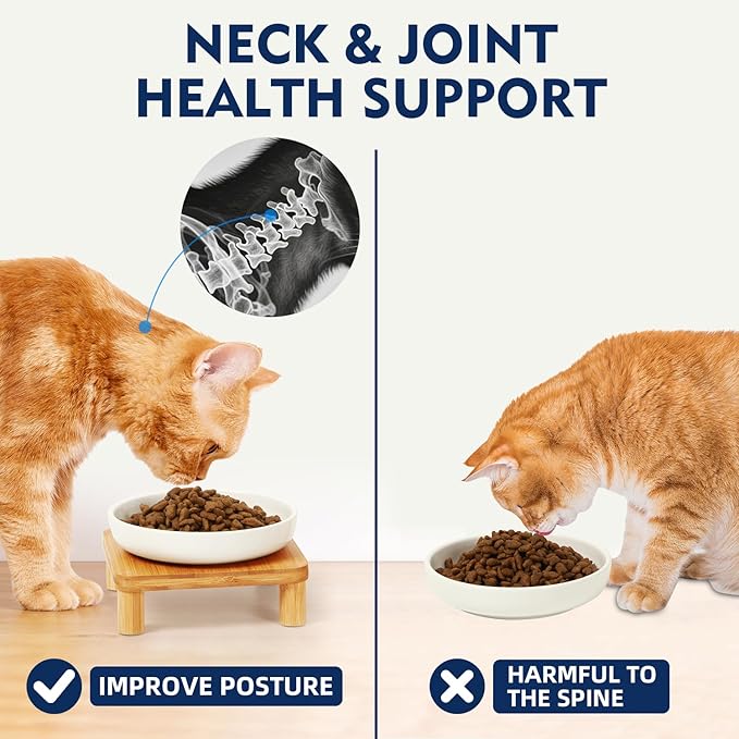 DoogCat Elevated Cat Bowls for Indoor Cats – Raised Bamboo Cat Bowl Stand with 5.75 Inch Wide Ceramic Dishes, Pet Food Plate Table for Easy Feeding, Whisker Friendly(White,Set of 2)