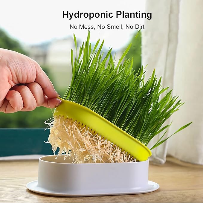 2Pcs Cat Grass Planter (No Seeds Included) Wheatgrass Planting Trays Hydroponic Cat Grass Growing Kits for Indoor Cats Soilless Organic Nursery Box Pet Grass Pot (E)