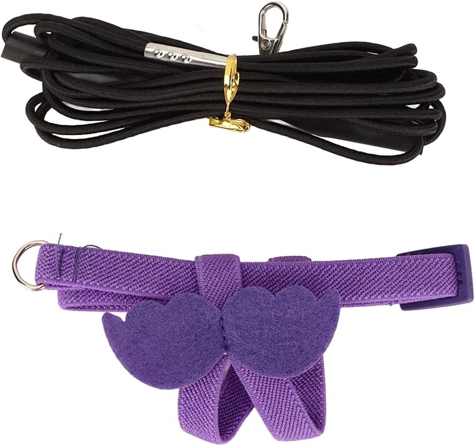 Bird Harness and Leash Adjustable Bite Traction Rope for Training or Outdoor Walks Bird Accessories (Purple)