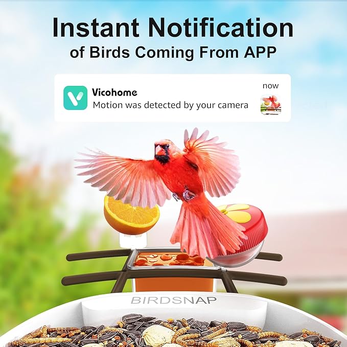 birdsnap® PAV-Bird Feeder with Camera,2K HD with 64GB Card, AI Identify Smart Bird House Cam Solar Panel,Live Stream,Motion Detection,Auto Record Video for Backyard Outdoors,Ideal Gift for Bird Lover