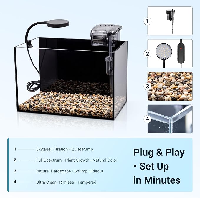 Smart Fish Tank Aquarium Kit: 2.8 Gallon Ultra-Clear Rimless Desktop Fish Tank with LED Light & Filter, Includes Landscape Stone, Complete Set for Small Fish, Shrimp, or Betta, Black