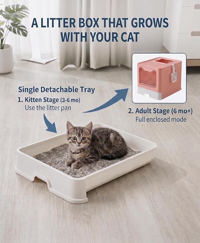 Medario Cat Litter Box with Litter Mat and Scoop, Large Covered Litter Box with Lid, Enclosed Kitty Box, Front Entry Top Exit, Odor Control, Easy to Clean (Pink)