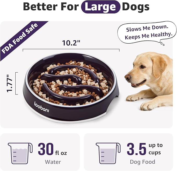 LOOBANI Ceramic Slow Feeder Dog Bowl for Large Dogs 10.2" W- Slow Eating, Perfect for Labradors, Goldens & Huskies for Medium & Large Dogs (L, Purple)