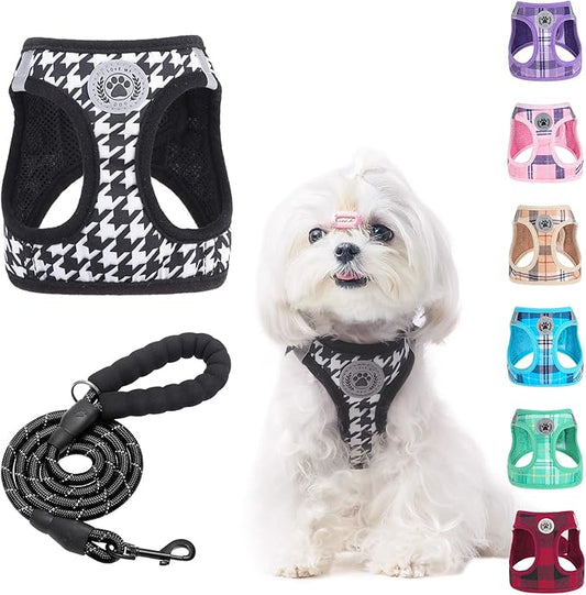 BEAUTYZOO Small Dog Harness and Leash Set,Step in No Choke No Pull Soft Mesh Dog Harnesses Reflective for Extra-Small/Small Medium Puppy Dogs and Cats, Plaid Dog Vest Harness for XS S Pets, Black XXS