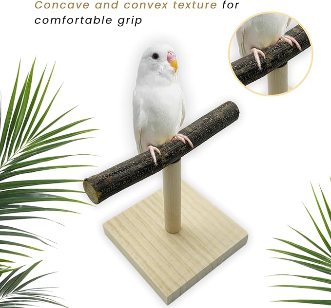 Portable Tabletop Bird Perch, Parrot Training Stand, Natural Wood Bird Play Stands for Parakeets Conures Finches Lovebirds or Cockatiels